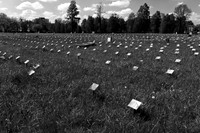 We Are What We Remember-25