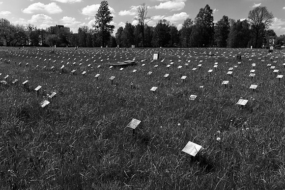 We Are What We Remember-25
