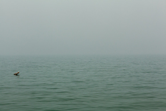 The Buoy and Beyond