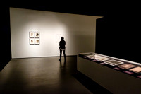 The Art of Viewing Art 21