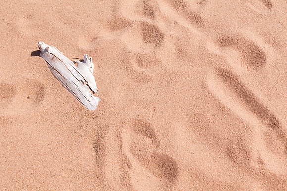 Julian Beach - Tracks
