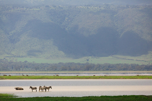 Ngorongoro Crater Landscape