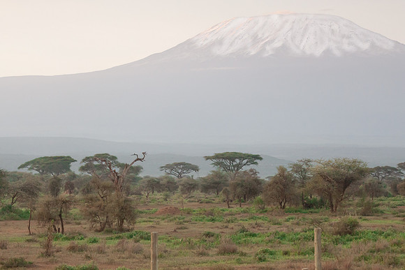 Sunrise Toward Kilimanjaro